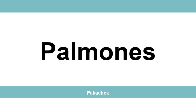 Teléfono de Correos Express Palmones