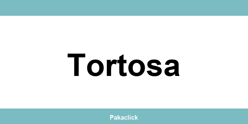 Teléfono de Correos Express Tortosa